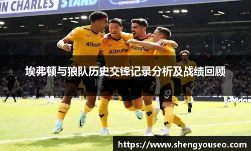 埃弗顿与狼队历史交锋记录分析及战绩回顾