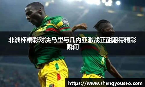 非洲杯精彩对决马里与几内亚激战正酣期待精彩瞬间