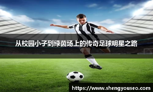 从校园小子到绿茵场上的传奇足球明星之路
